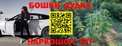 индика Конаково
