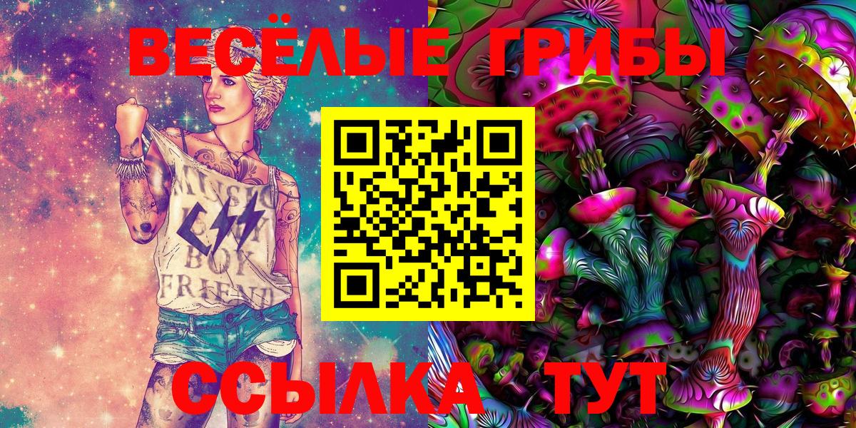 даркнет сайт  Вход с VPN  Кострома  Псилоцибиновые грибы Psilocybe 